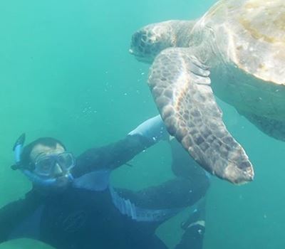 Snorkeling With Turtles In Mancora