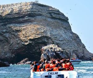 Ballestas Islands Tour