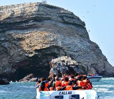 Ballestas Islands Tour