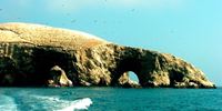 Ballestas Islands Tours