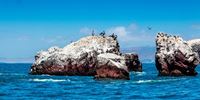 Paracas Ballestas Islands
