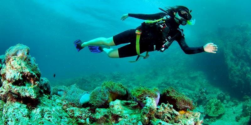 Diving Galapagos
