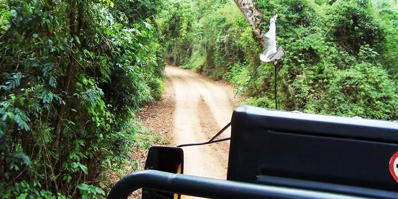 iguazu jungle truck tour