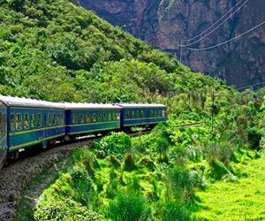 Tour en tren a Machu Picchu por 1 Día 