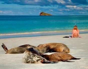 Galapagos Tours 