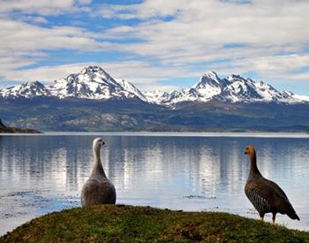 Tierra del Fuego National Park Tours
