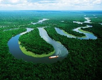 Iquitos Jungle Tours